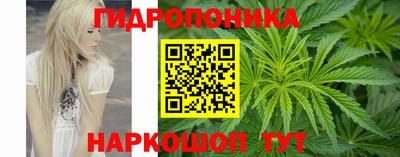 spice Бузулук